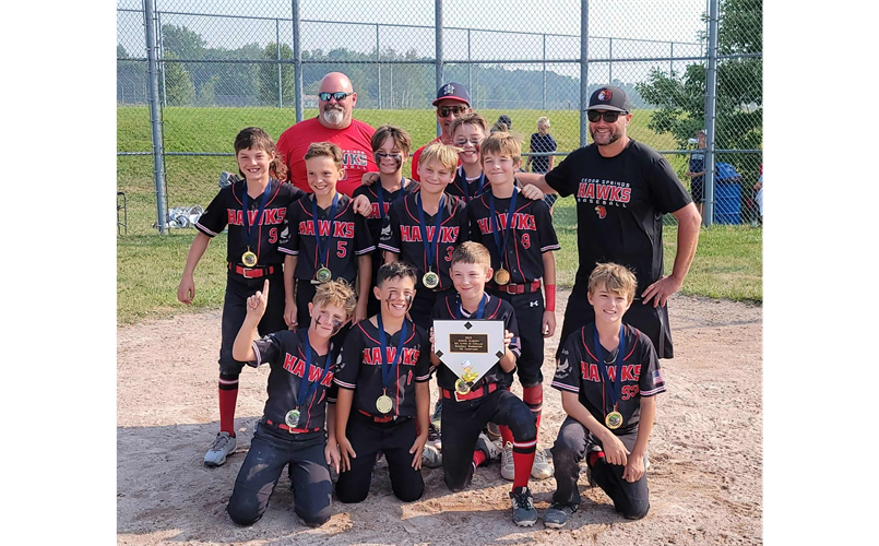 Hawks 11u Black - Clash in Cadillac Champions